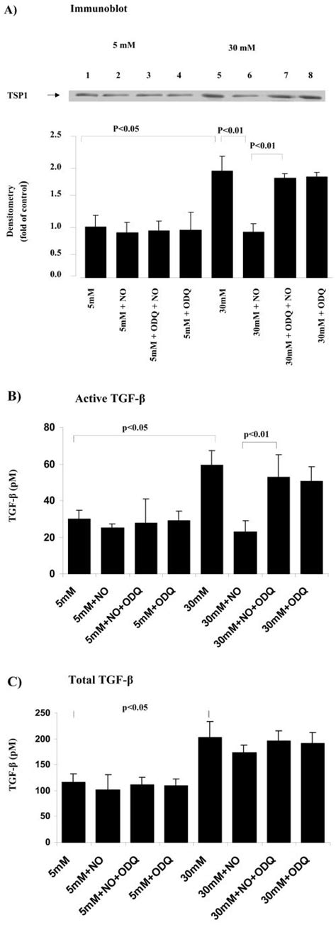 Guanylate Cyclase Inhibitor Odq Blocks Detanonoate Down Regulation Of