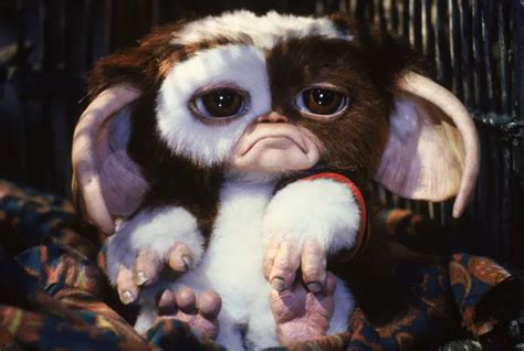 Exclusive Carl Ellsworth Talks Scrapped Gremlins 3 Script