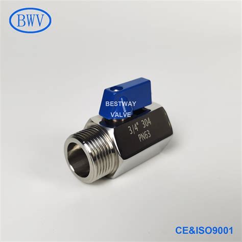 Pn63 304 316 Npt Bspp Bspt M F Threaded Stainless Steel Mini Ball Valve