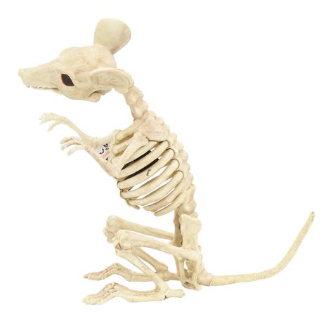 Halloween Animal Skeleton Assortment - Walmart.com - Walmart.com