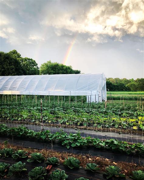 Cotton Warehouse Vendors Mall and flea market, 550 MS-6, Batesville, MS