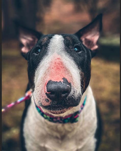 Route 9 Tattoo & Body Piercing - Home