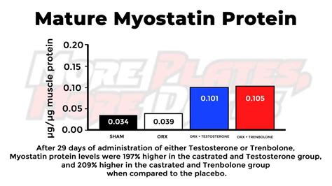 Flex Wheeler Myostatin Deficiency | IFBB Pro Bodybuilders Genetics Study