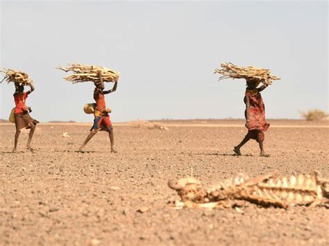 Somalie un million de personnes déplacées par la sécheresse