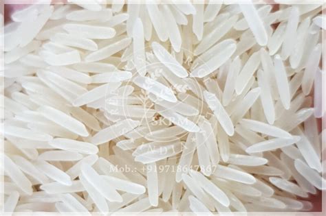 1509 Sella Basmati Rice 1509 Basmati Sella Rice Manufacturers India