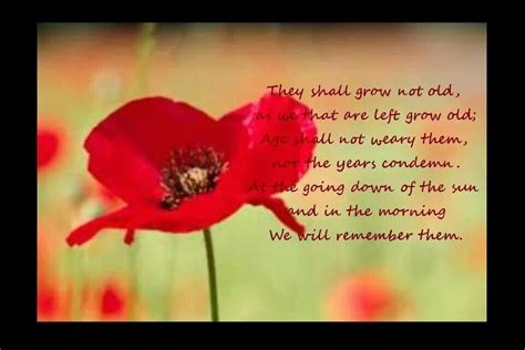 A Poppy Remembrance Day Lest We Forget Poem Remembrance Quotes