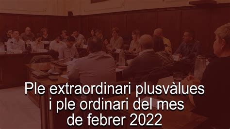 Directe Ple Extraordinari Plusv Lues I Ple Ordinari Del Mes De