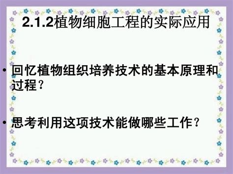 人教版教学课件 名校联盟 福建省三明市泰宁一中生物选修三212《植物细胞工程的实际应用》课件word文档在线阅读与下载无忧文档