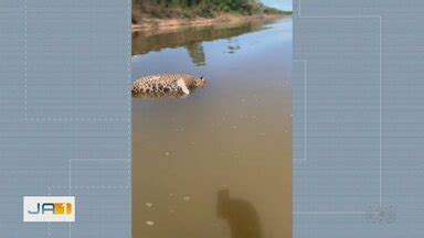 Ja Edi O Regional On A Encontrada Morta No Rio Araguaia