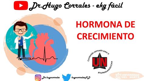 Hormona De Crecimiento Fisiolog A Profesor Hugo Corrales Youtube