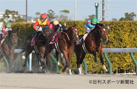 Jra Van公式 On Twitter 【東海ステークス】中京競馬場で行われた東海ステークス（gii）はbムルザバエフ騎手騎乗の2番