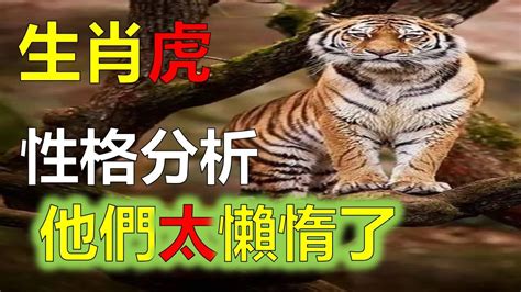 生肖虎5月開始運勢加倍提升，不要洩氣，2023年癸卯年，生肖虎的運勢2023年12生肖運勢，預測十二生肖（鼠、龍、猴、兔）生肖運勢（牛、蛇、雞、豬）生肖運勢（虎、馬、狗、羊）生肖運程