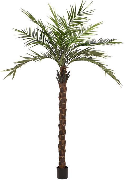 Europalms Palmier Kentia Deluxe Plante Artificielle Cm Prix