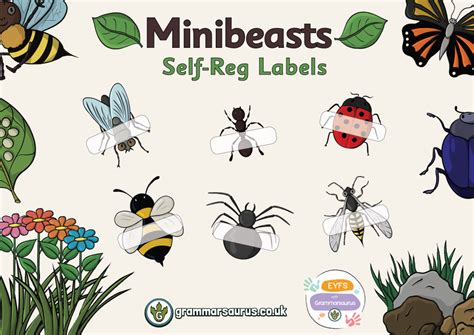 EYFS Minibeasts Self Reg Labels Grammarsaurus