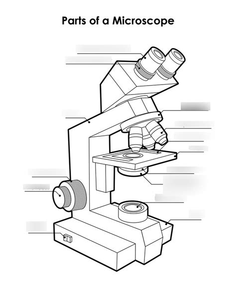 Compound Microscope Diagram 1 Diagram Quizlet