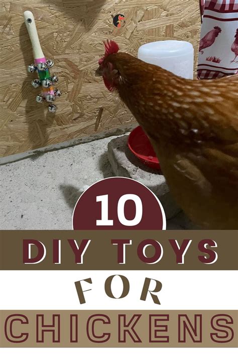 10 Diy Toys For Chickens Types Of Chicken Diy Chicken Toys Chicken