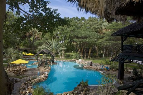 Sarovashaba Swimmingpoollarge Book A Kenya Safari