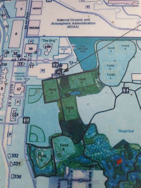 My Seattle Parks Diary Magnuson Park Things Weve Lost Part I