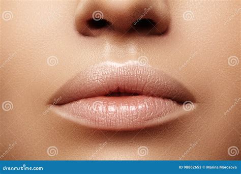 Labios Regordetes Del Primer Cuidado Del Labio Aumento Llenadores