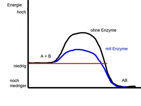 Enzyme