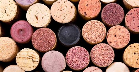 What Is Cork And Why Is It Used To Close Wine Bottles Wine Wine