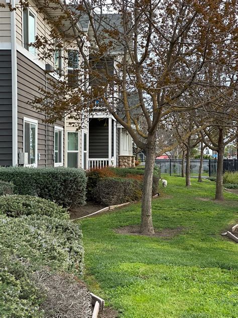 Lost and Found Visalia-Tulare, Ca Area Pets 2 (PUBLIC PAGE ) | Tulare