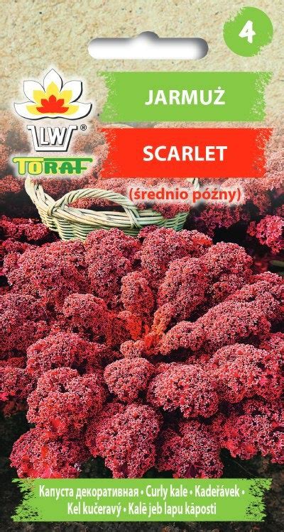 Jarmu Scarlet Brassica Oleracea L Var Acephala Toraf Sklep Empik