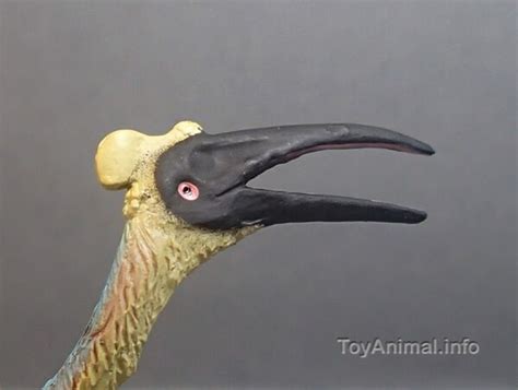 Collecta Box A1102 Mini Quetzalcoatlus Toy Animal Wiki