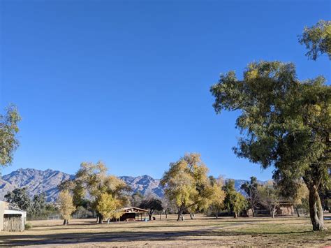 Getting Started With Birding At Fort Lowell Park ⋆ Tucson Audubon