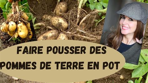 Faire Pousser Des Pommes De Terre En Pot Pommedeterre Youtube