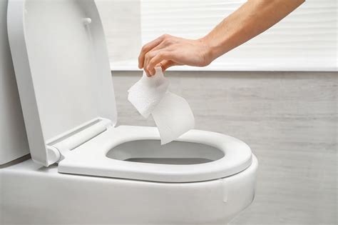 What Toilet Paper Is Best For Septic Tanks Storables