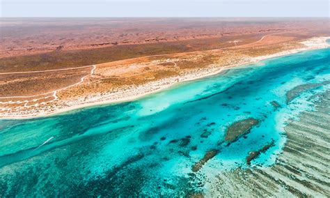 7 Day Ningaloo & Coral Coast | TripADeal