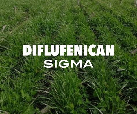 Diflufenican Sigma Sigma