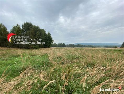 Syndyk sprzeda działki o pow 6 95 ha w Masłowie Drugim Masłów Drugi