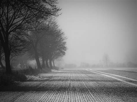 Camino En Medio De Rboles Desnudos Contra El Cielo Durante El Invierno