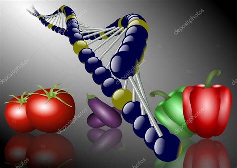 Genetically Modified Food Stock Photo Image By Eteimaging 11586990