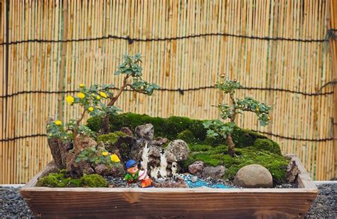 Miniature Garden Ideas To Give A Unique Look To Your Apartment