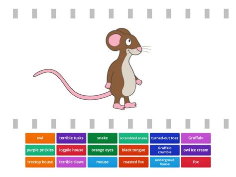 The Gruffalo Quiz Find The Match