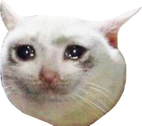 Crying Cat Meme Png