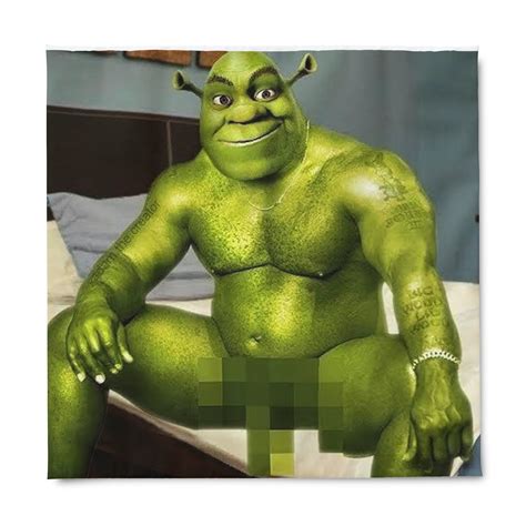 Shrek Naked Duvet Cover Funny Bed Spread Donkey Green Etsy