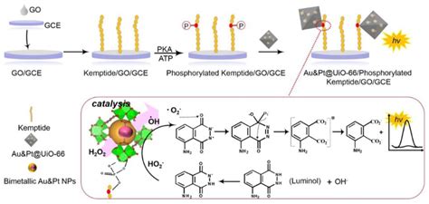 Molecules Free Full Text Biosensors With Metal Ionphosphate