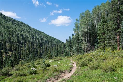 10 Best Carson National Forest Hikes To Take In New Mexico