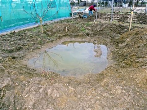 Allotment Heaven Making A Clay Lined Pond