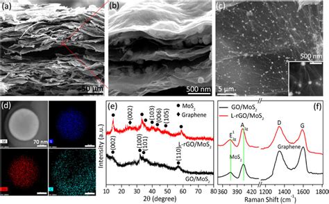 Scanning Electron Microscopy Micrographs Of The L Rgomos2 Composite