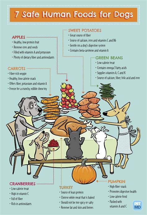 7 Human Foods Dogs Can Eat For Thanksgiving Human Food For Dogs Dog