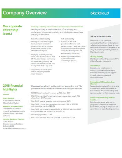 company overview sample