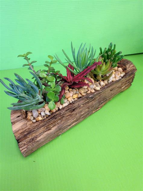 Succulent Log Planter Suculentas Ideas De Jardinería Plantas