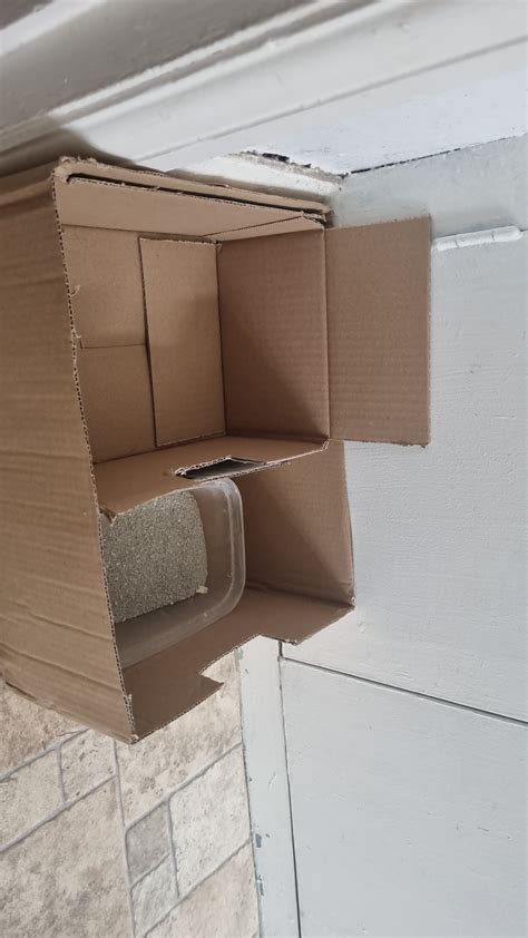Diy Dig Boxsand Bath Rhamsters