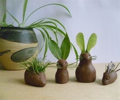 Clay Modelling Woodland Creatures 10 Steps With Pictures