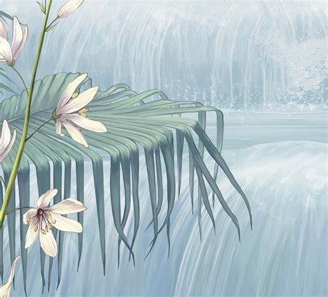 rainforest wallpaper  behance